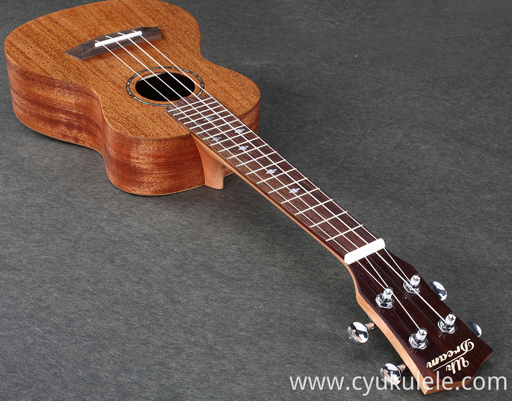 ukulele20